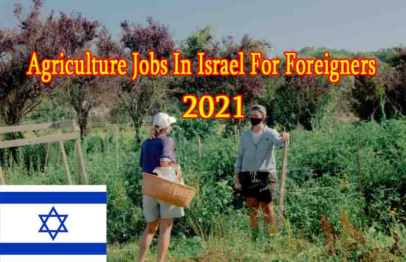 Agriculture Jobs In Israel For Foreigners
